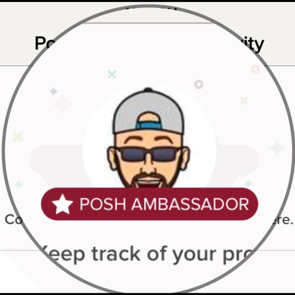 POSH AMBASSADOR